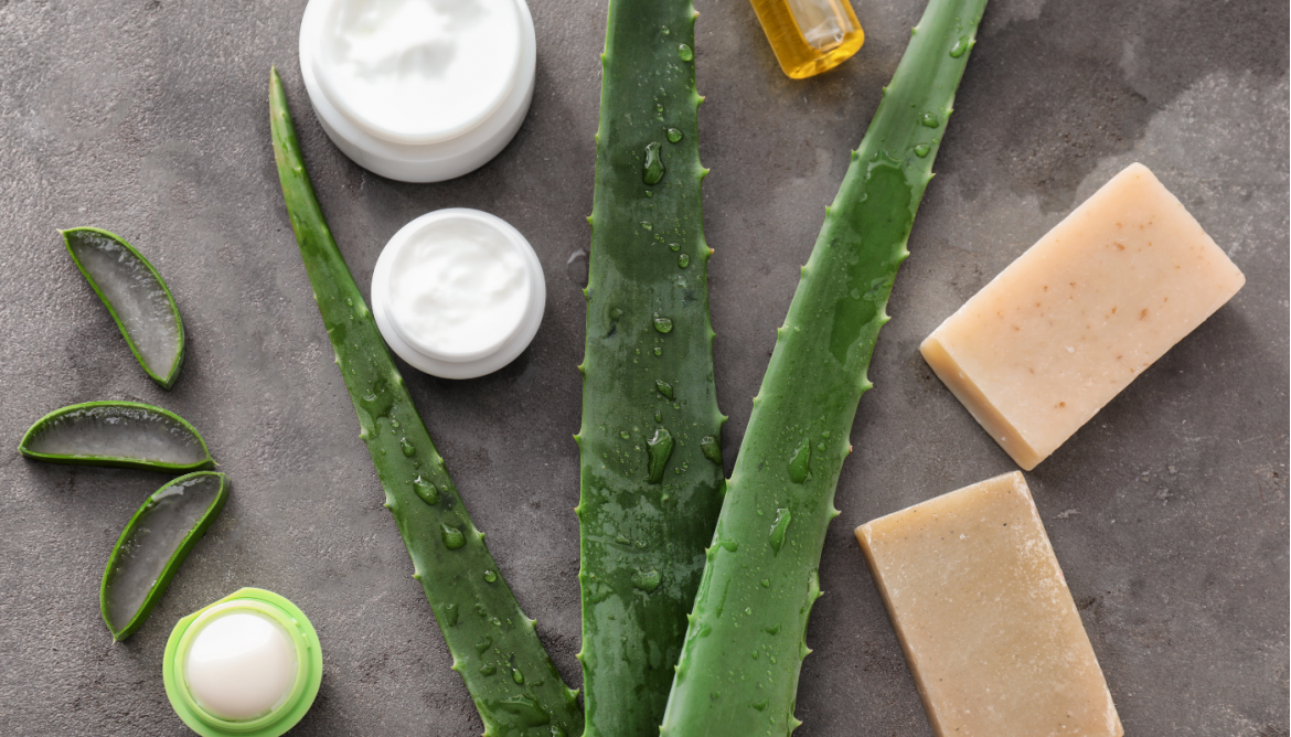 https://www.lilyumetikbakim.com/image/cache/catalog/blog/aloevera-1170x668.png