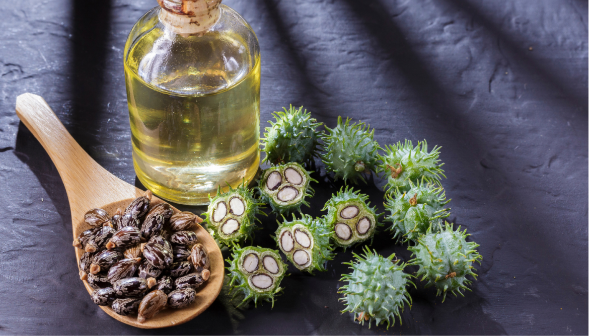 https://www.lilyumetikbakim.com/image/cache/catalog/blog/castor%20oil-1170x668.png