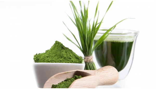 Klorella ( Chlorella )